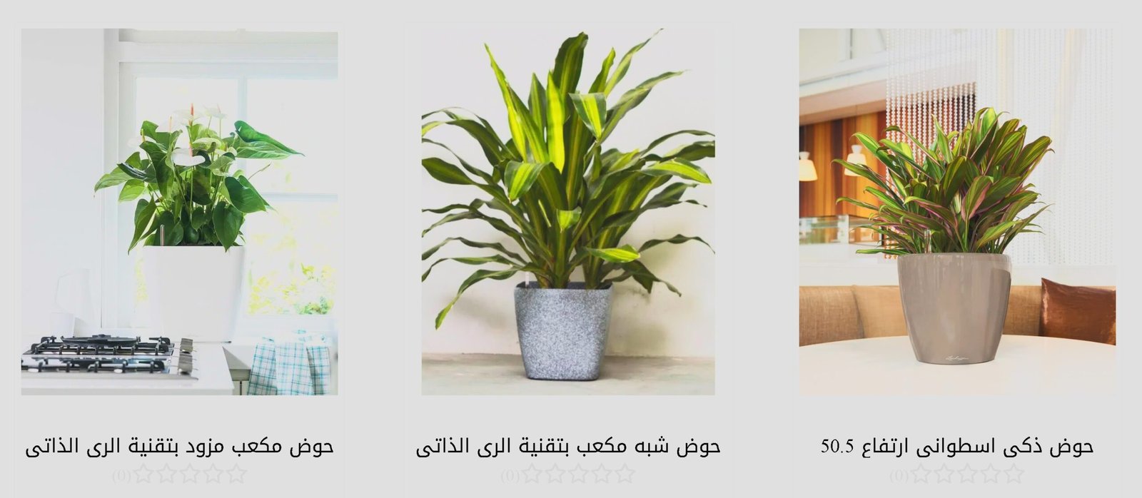 أحواض الزراعة
